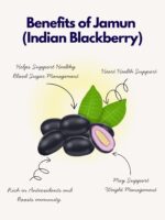 Peanut Jamun Plum Chikki Bar - Image 2
